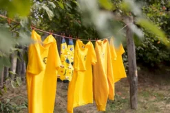 Easy Camp Edendale 600 Tunneltent 6 Persoons - Grijs -Campingreeksen Winkel 1267 1900 waslijn 1 1