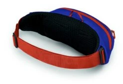 Osprey Daylite Heuptas - Blauw/Oranje 9 Osprey Daylite Heuptas - Blauw/Oranje -Campingreeksen Winkel 1900 1425 daylitewaist s23 sideback silverliningblueberry 10005144