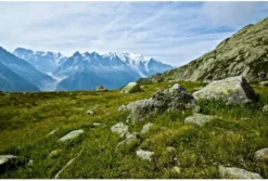 Vango F10 Helium UL 2 Ultralichte Trekking Tunneltent - 1/2 Persoons - Groen -Campingreeksen Winkel 1900 1783 f10 helium ul 2 3