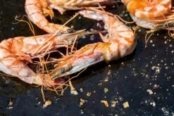 OFYR Kookboek -Campingreeksen Winkel 800 1200 cb no1 nl fr 3