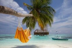 La Siesta Currambera 2 Persoons Hangmat - Apricot 8 La Siesta Currambera 2 Persoons Hangmat - Apricot -Campingreeksen Winkel 800 1200 cuh16 5 ambiance 204