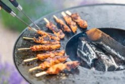 RedFire ONYX Classic Table Vuurschaal Bbq - 80 Cm -Campingreeksen Winkel 85208 lifestyle 06