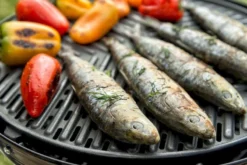 CADAC Grillo Chef 40 Gasbarbecue - BBQ/Chef Pan -Campingreeksen Winkel 900 1348 grillo chef 40 bbq grid