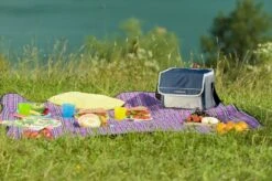 Campingaz Fold 'N Cool Koeltas - 10 Liter -Campingreeksen Winkel 900 1353 cooler fold n cool 10l dark blue 2000011723 lifestyle 3