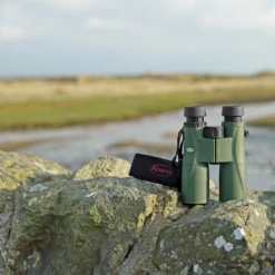 Kowa BDII XD Verrekijker - 10x32 Mm -Campingreeksen Winkel kowa bdii xd verrekijker 6 5 x 32 11 1