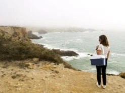 Mobicool MT08 Blauw Autokoelbox - 8 Liter 11 Mobicool MT08 Blauw Autokoelbox - 8 Liter -Campingreeksen Winkel mobicool mt 08 cliff woman 1 resultaat