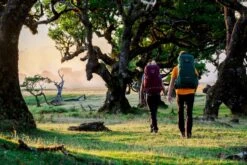 Osprey Renn Backpack - 50 Liter - Paars 27 Osprey Renn Backpack - 50 Liter - Paars -Campingreeksen Winkel osprey rennrook 1